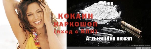 крисы Гусев