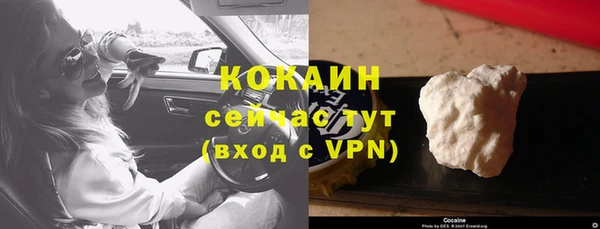 мдпв Горняк