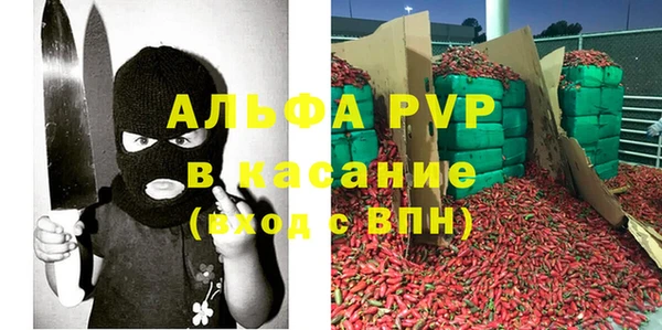 крисы Гусев