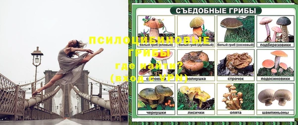 mix Елизово