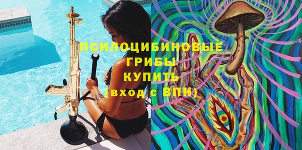 крисы Гусев