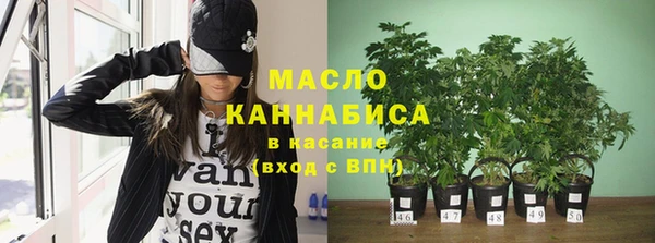 крисы Гусев