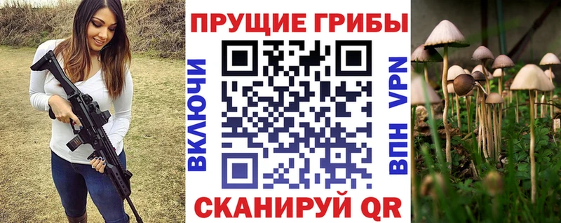 hydra ONION  Гусь-Хрустальный  Галлюциногенные грибы Magic Shrooms  магазин   